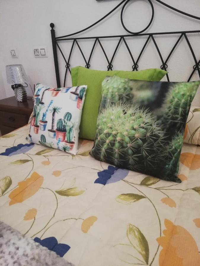 Apartamento Naturista En Primera Linea De Vera Playa!!! Las Bombardas Dış mekan fotoğraf