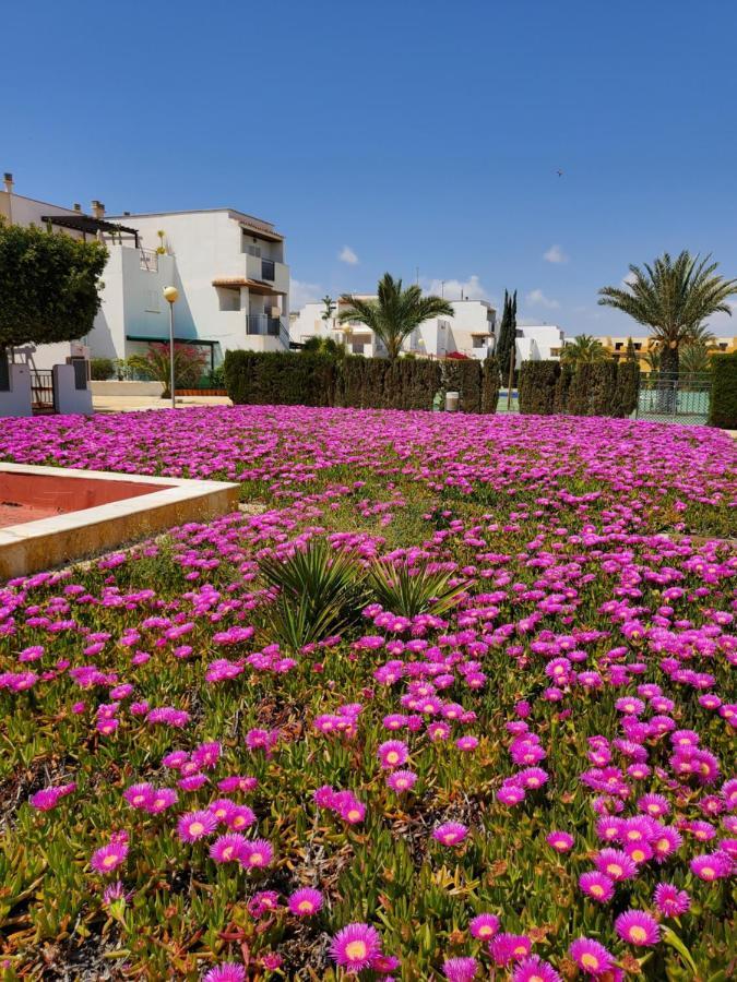 Apartamento Naturista En Primera Linea De Vera Playa!!! Las Bombardas Dış mekan fotoğraf